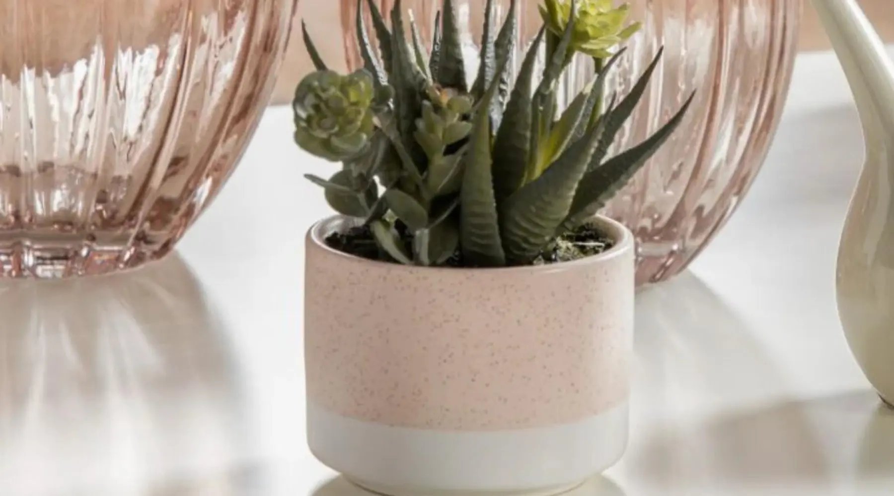 Potted Plants