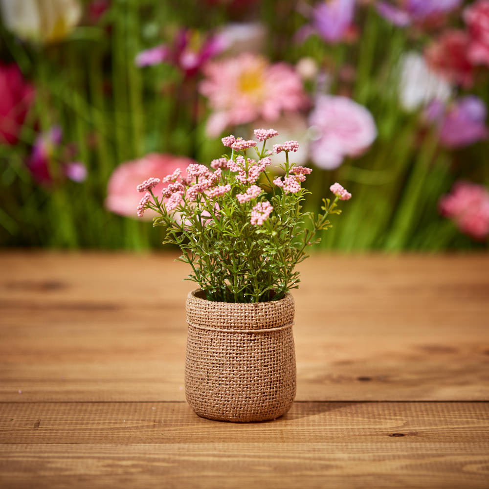 Pink/Purple Flowers with Hessian Pot