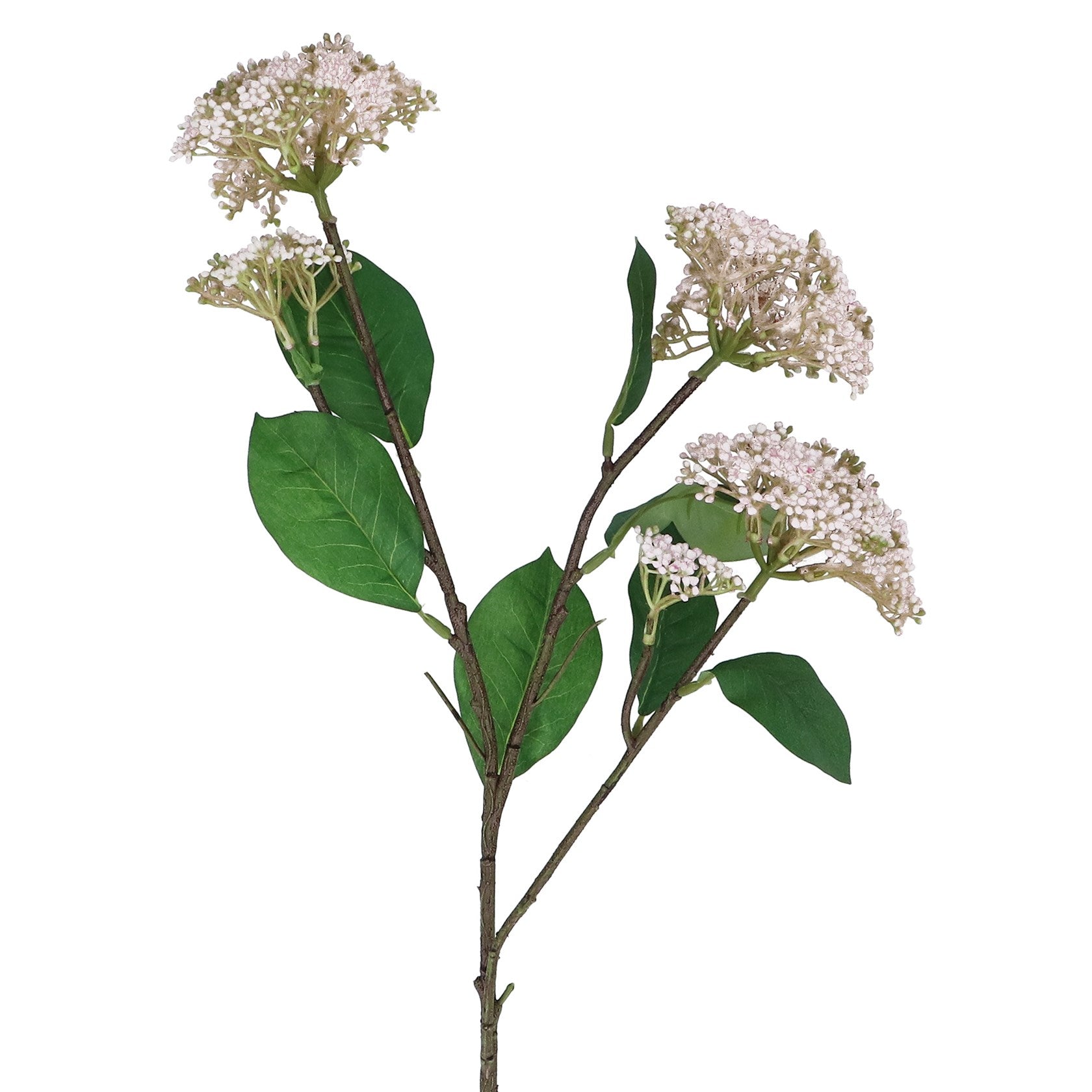 Faux White Elderflower Spray