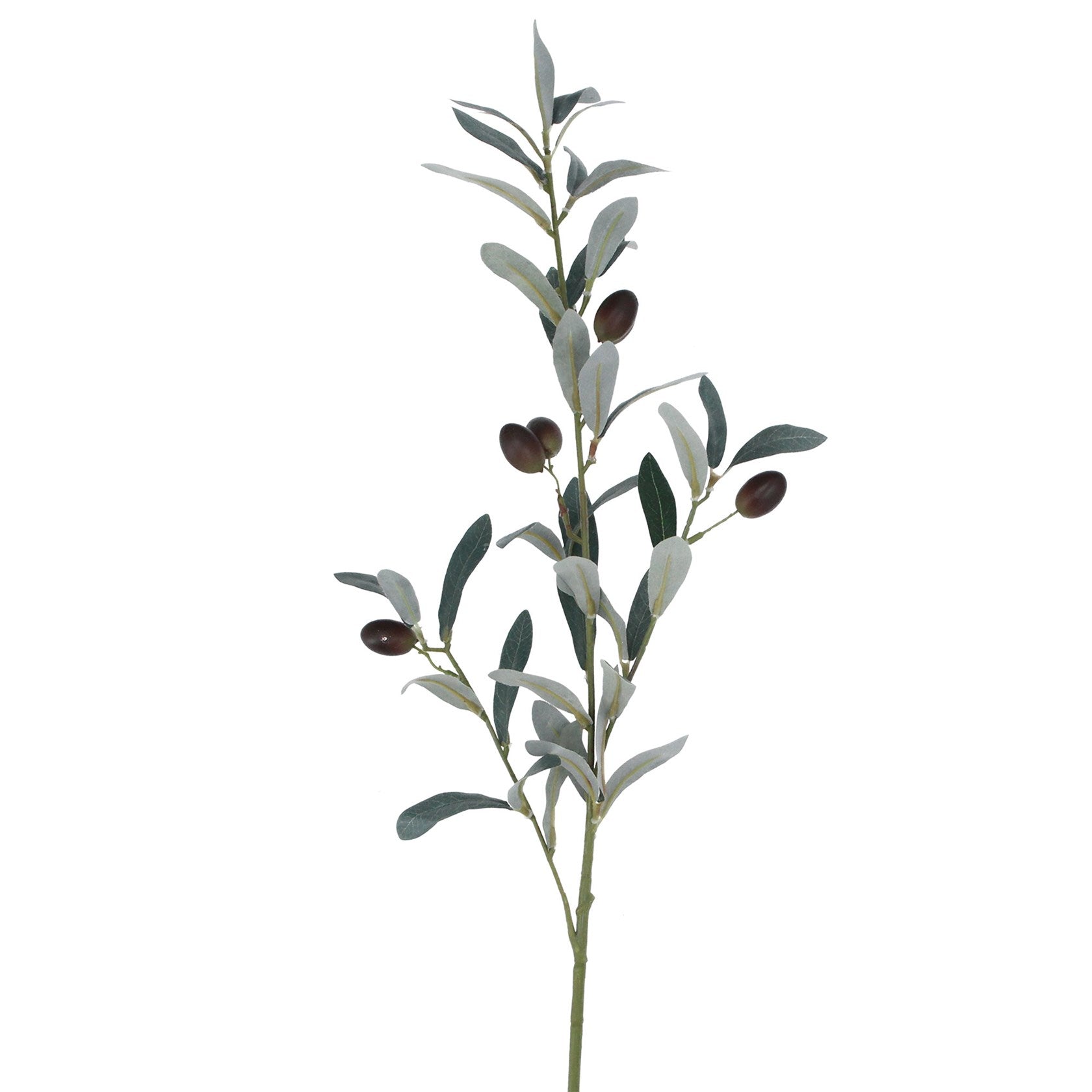 Faux Olive Branch