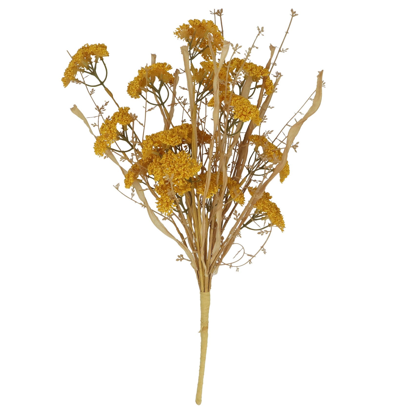 Yellow Wild Achillea Bunch of Flowers