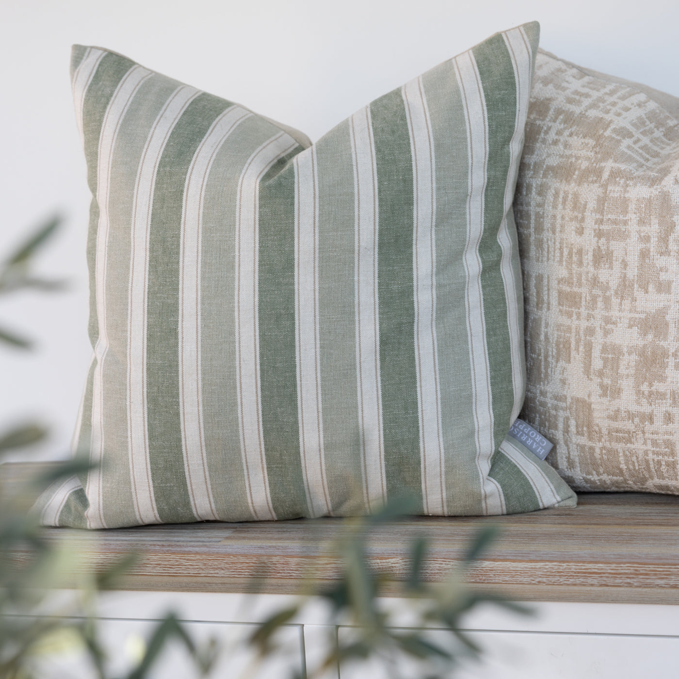 Augustine Sage Green Stripe Square Cushion