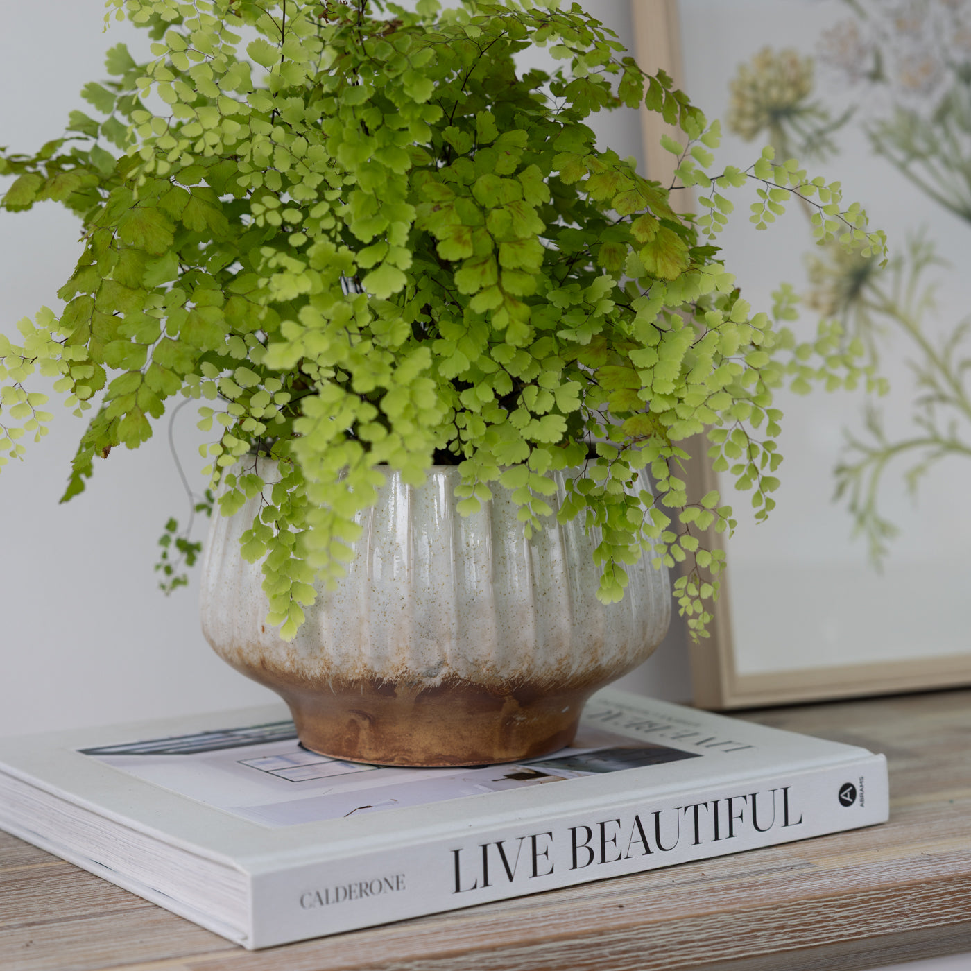Cecilia Ivory & Brown Planter