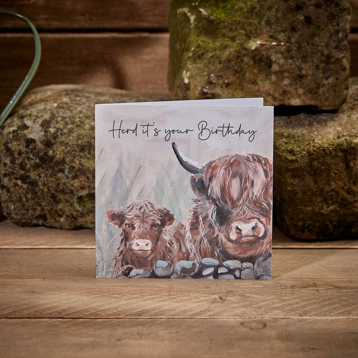 Dougal Highland "Herd it's your Birthday" Greeting Card