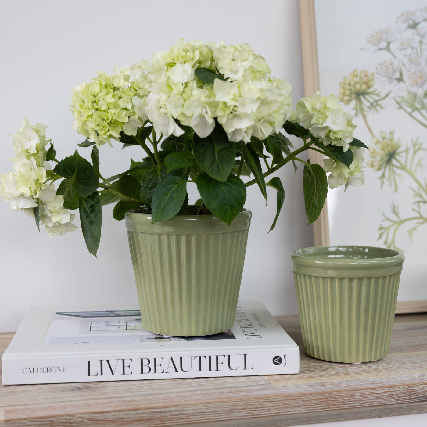 Estrid Olive Green Ceramic Pots