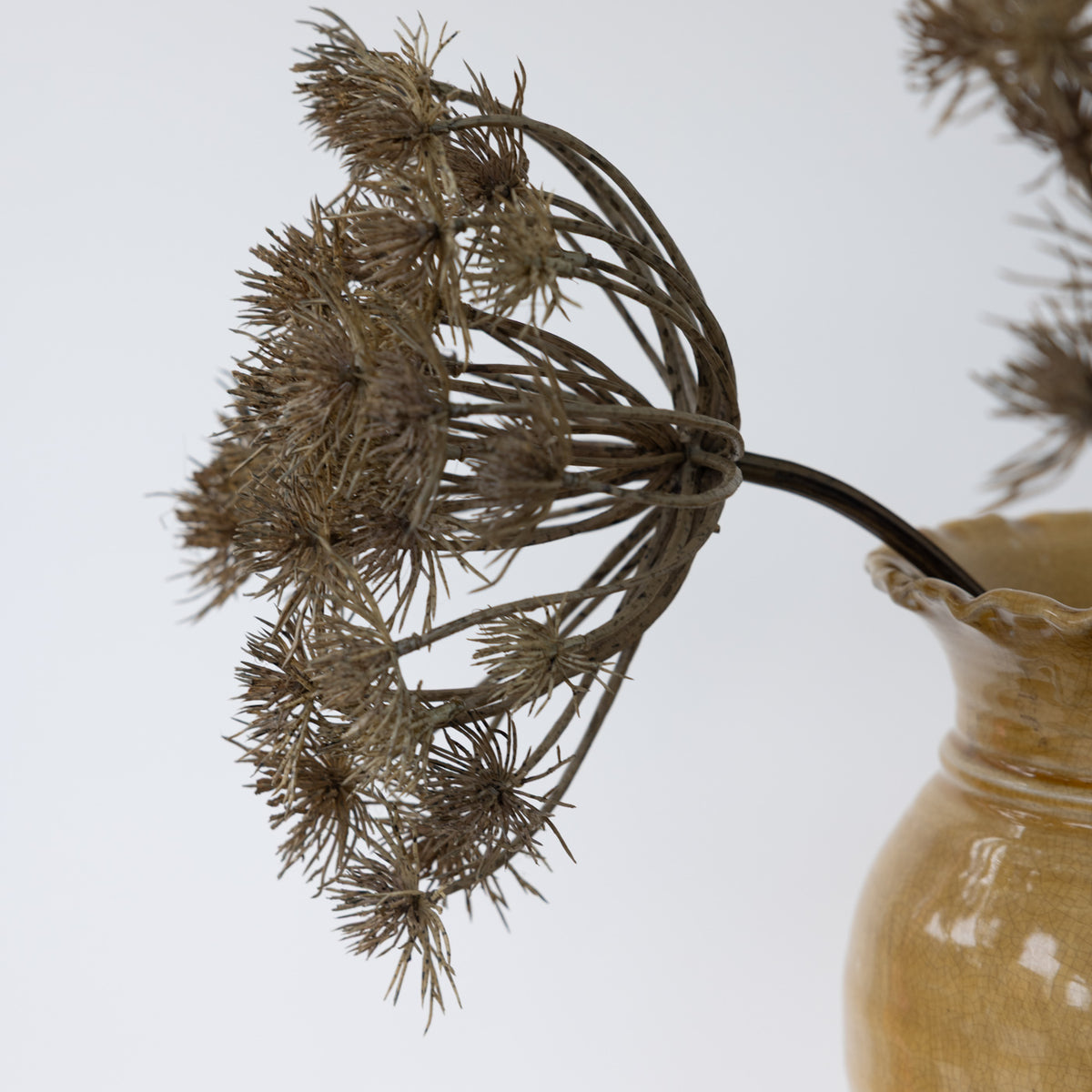 Faux Brown Queen Anne’s Lace Stem