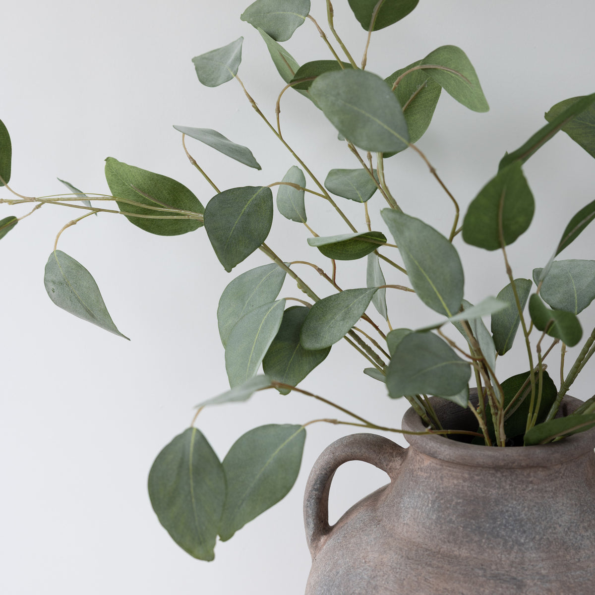 Faux Silver Dollar Eucalyptus Stem