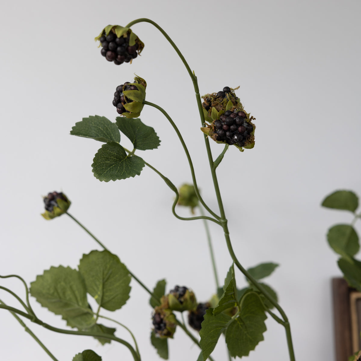 Faux Wild Blackberry Stem