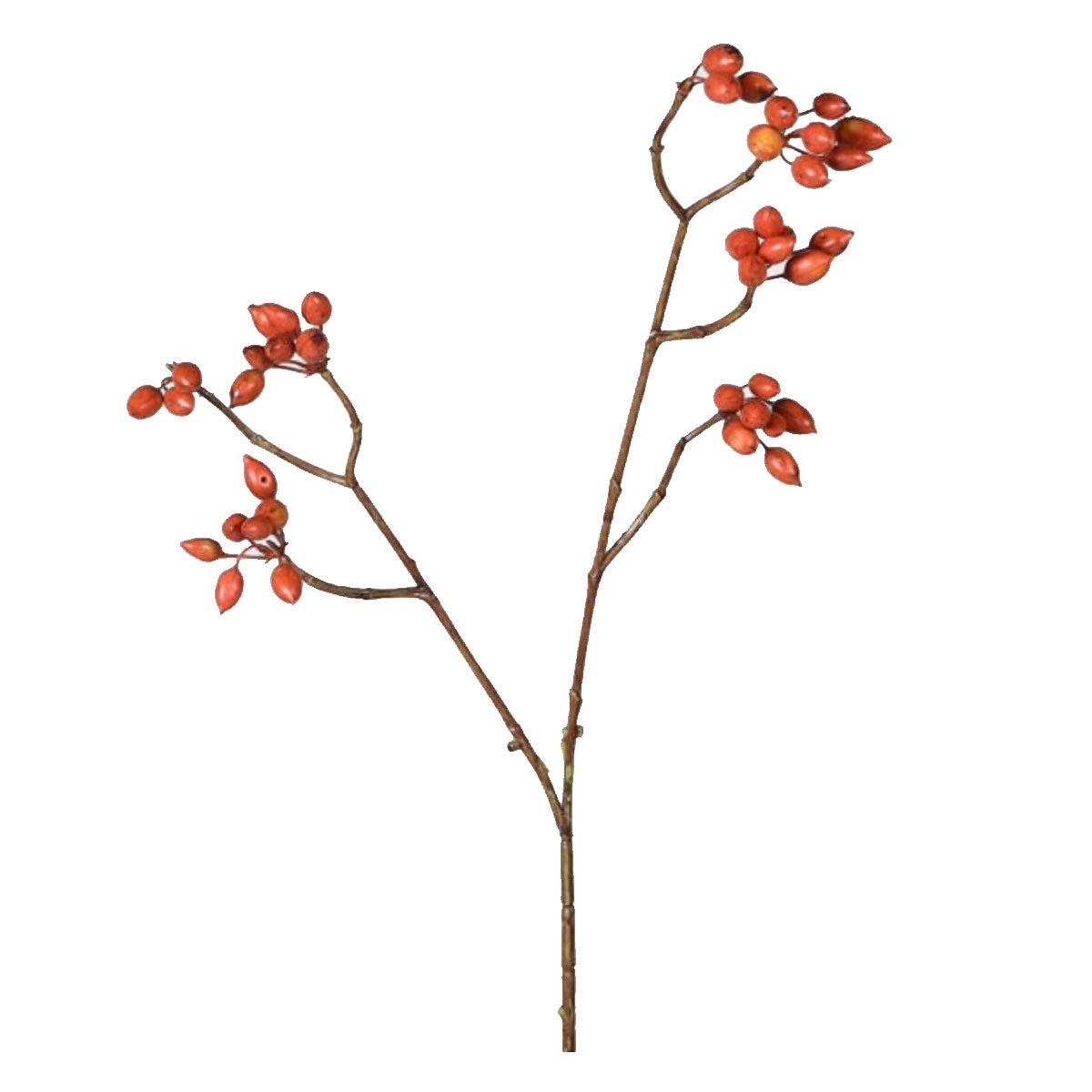 Rosehip Berries Spray