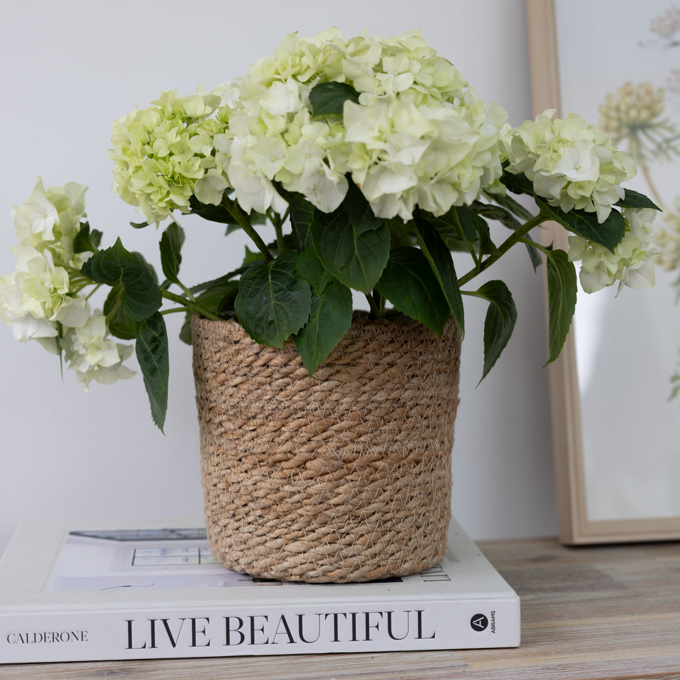 Belle Natural Jute Basket Planter