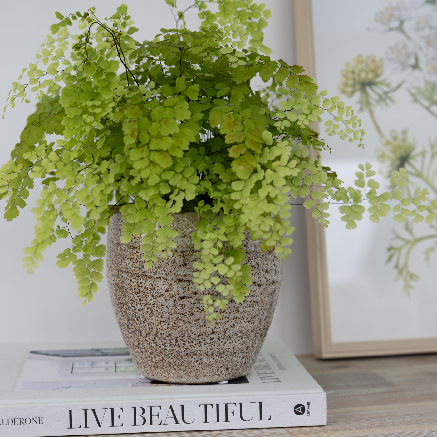 Kornelia Brown Stoneware Planter