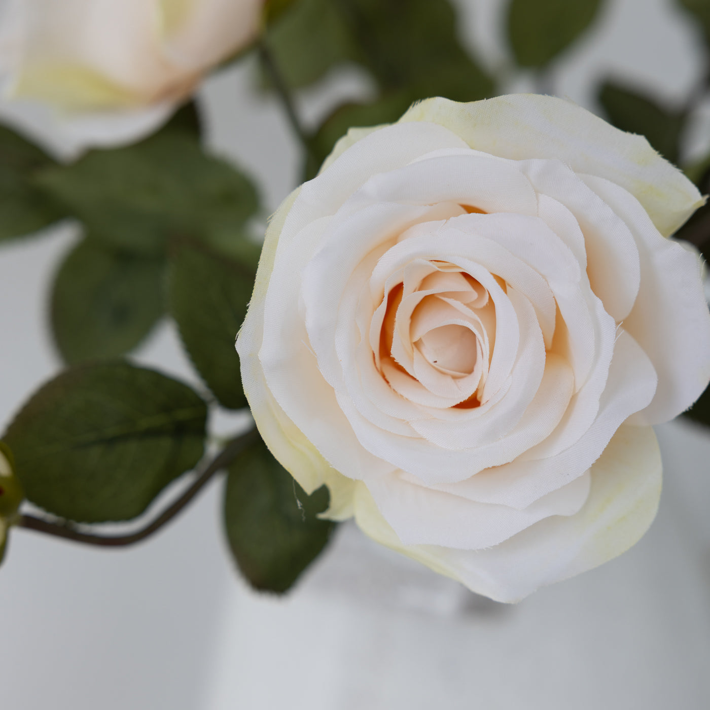 Light Peach Aria Rose Bud Stem