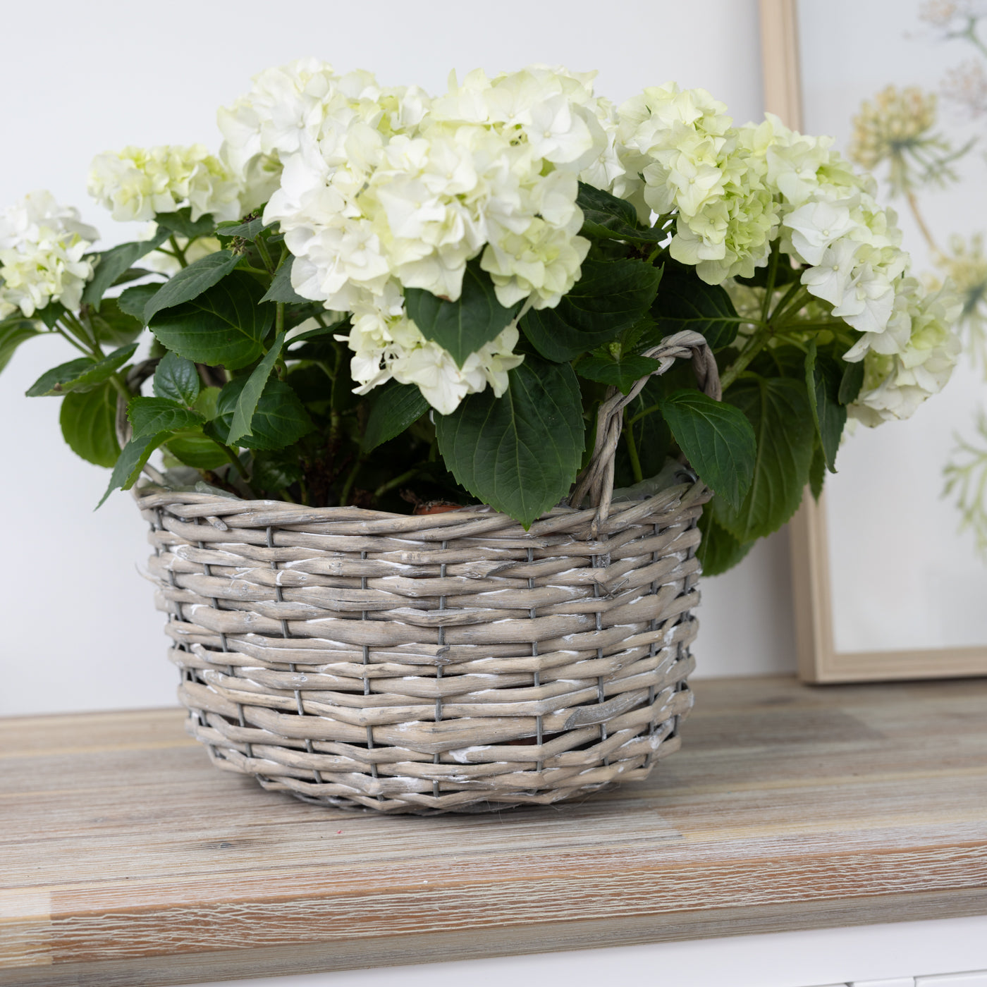 Minna Grey Baskets