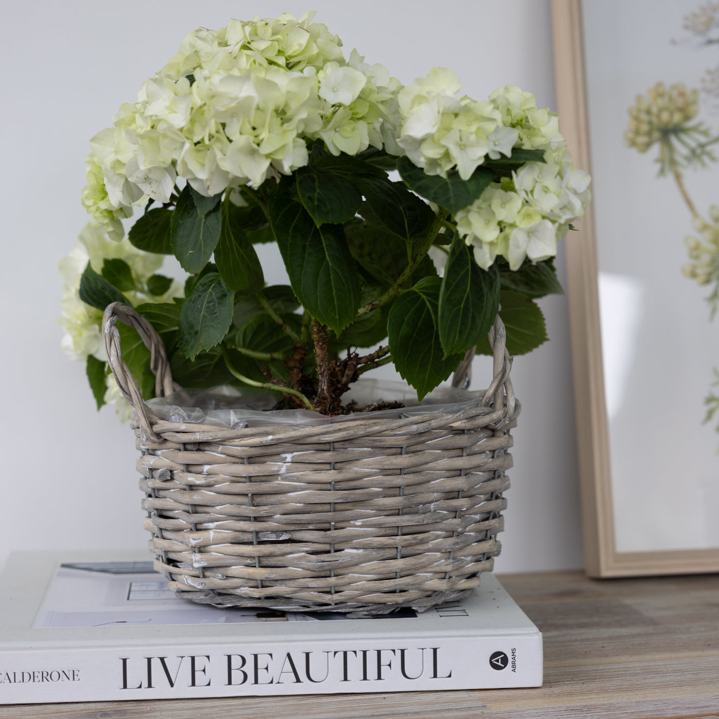 Minna Grey Baskets