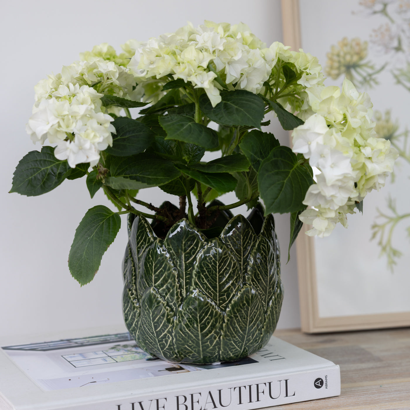 Nea Green Glazed Leaf Design Pots