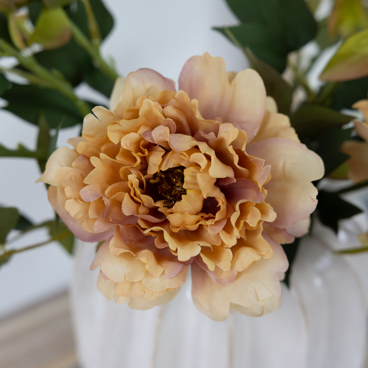Peach Peony Stem
