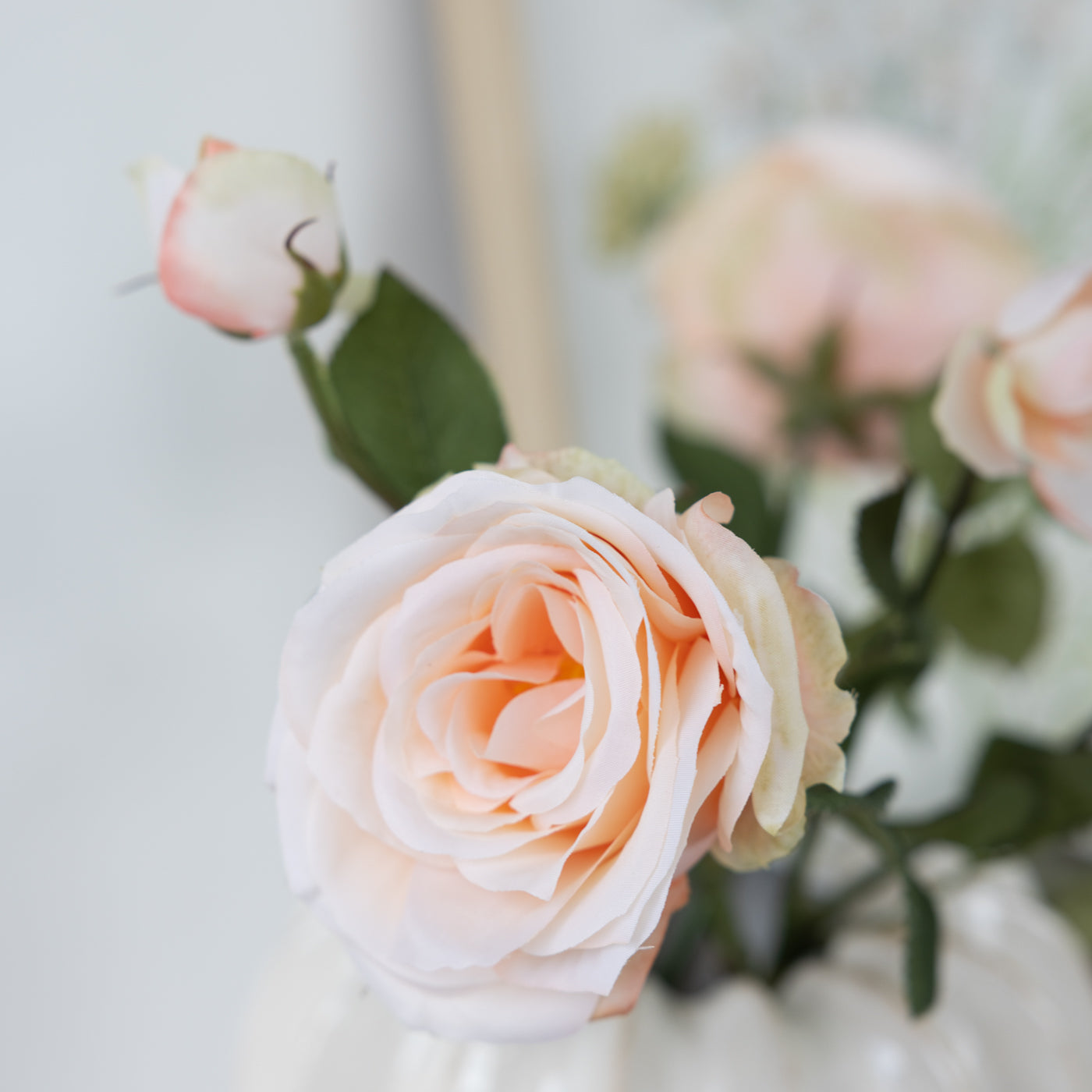 Peach Pink Aria Rose Stem