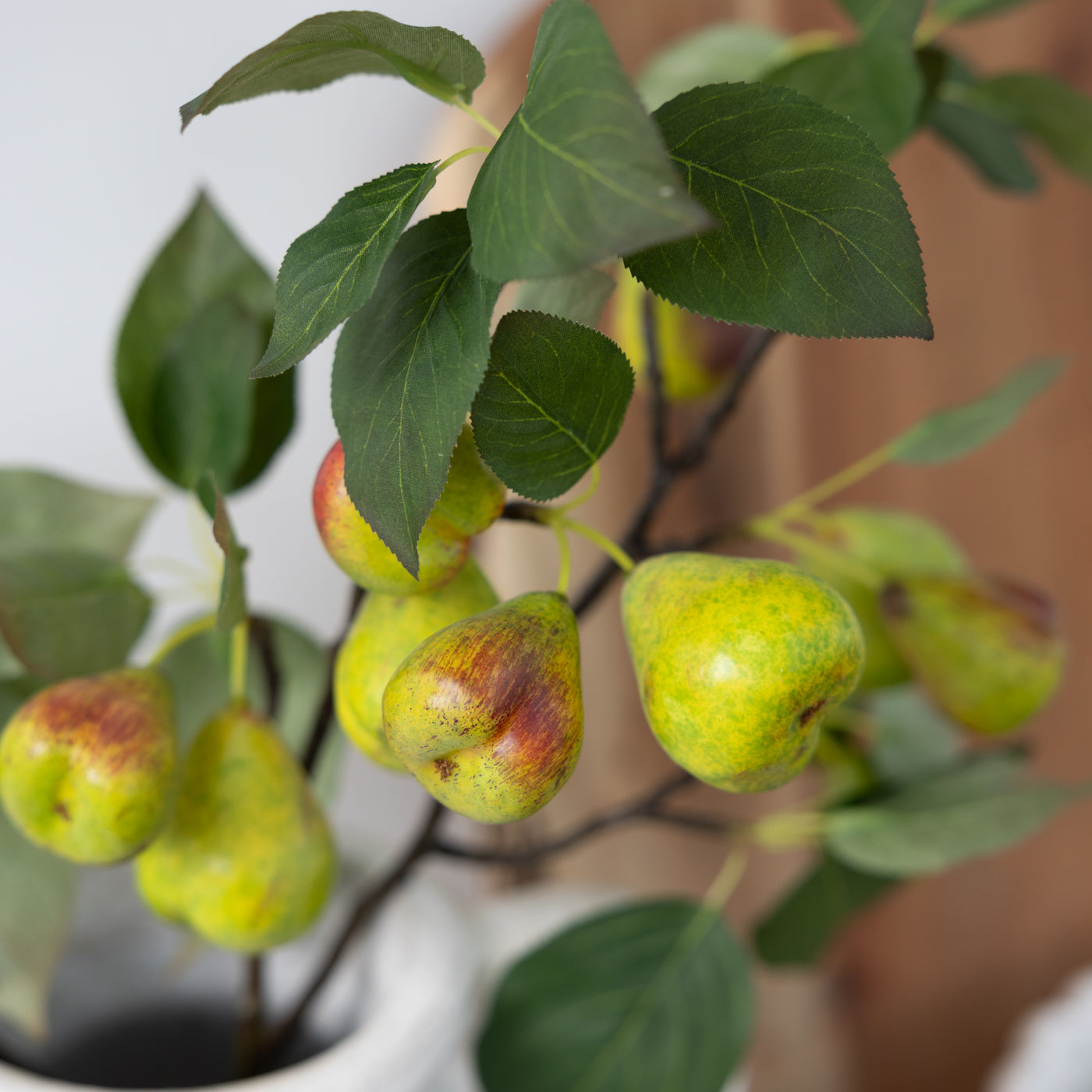 Green Pear Branch