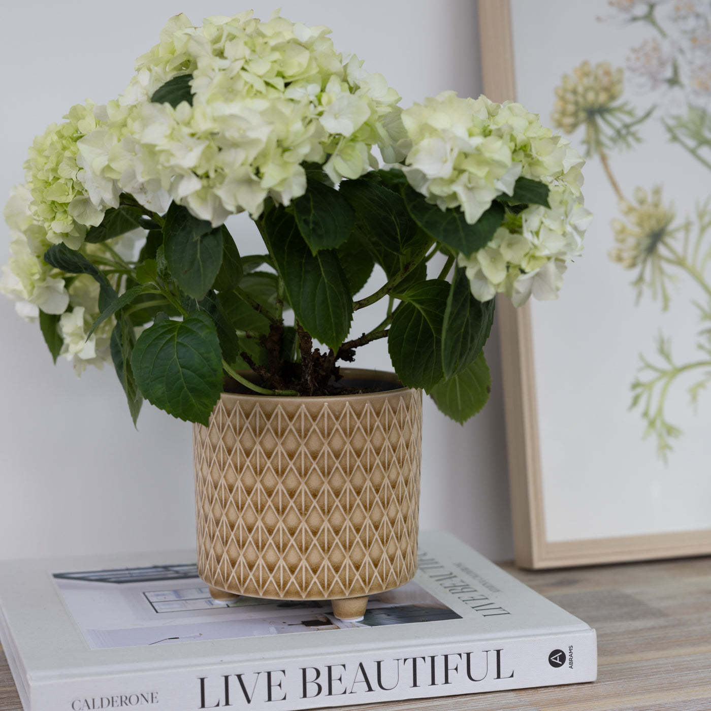 Piper Ochre Textured Footed Planters
