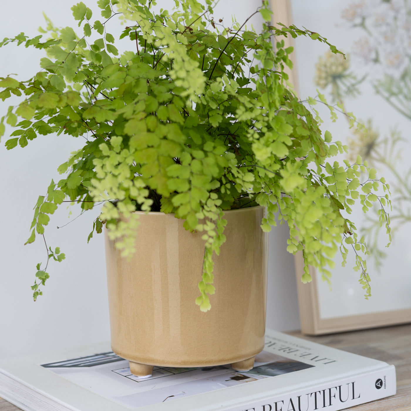 Piper Ochre Smooth Footed Planters