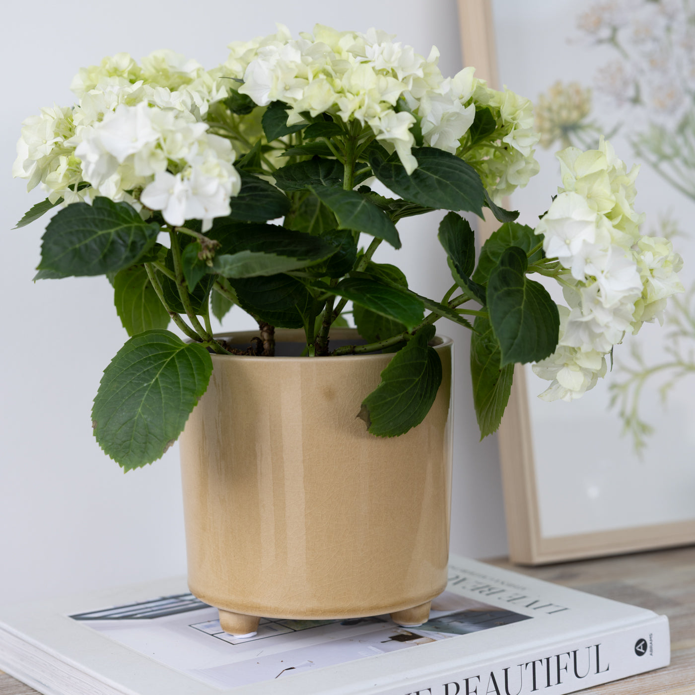 Piper Ochre Smooth Footed Planters
