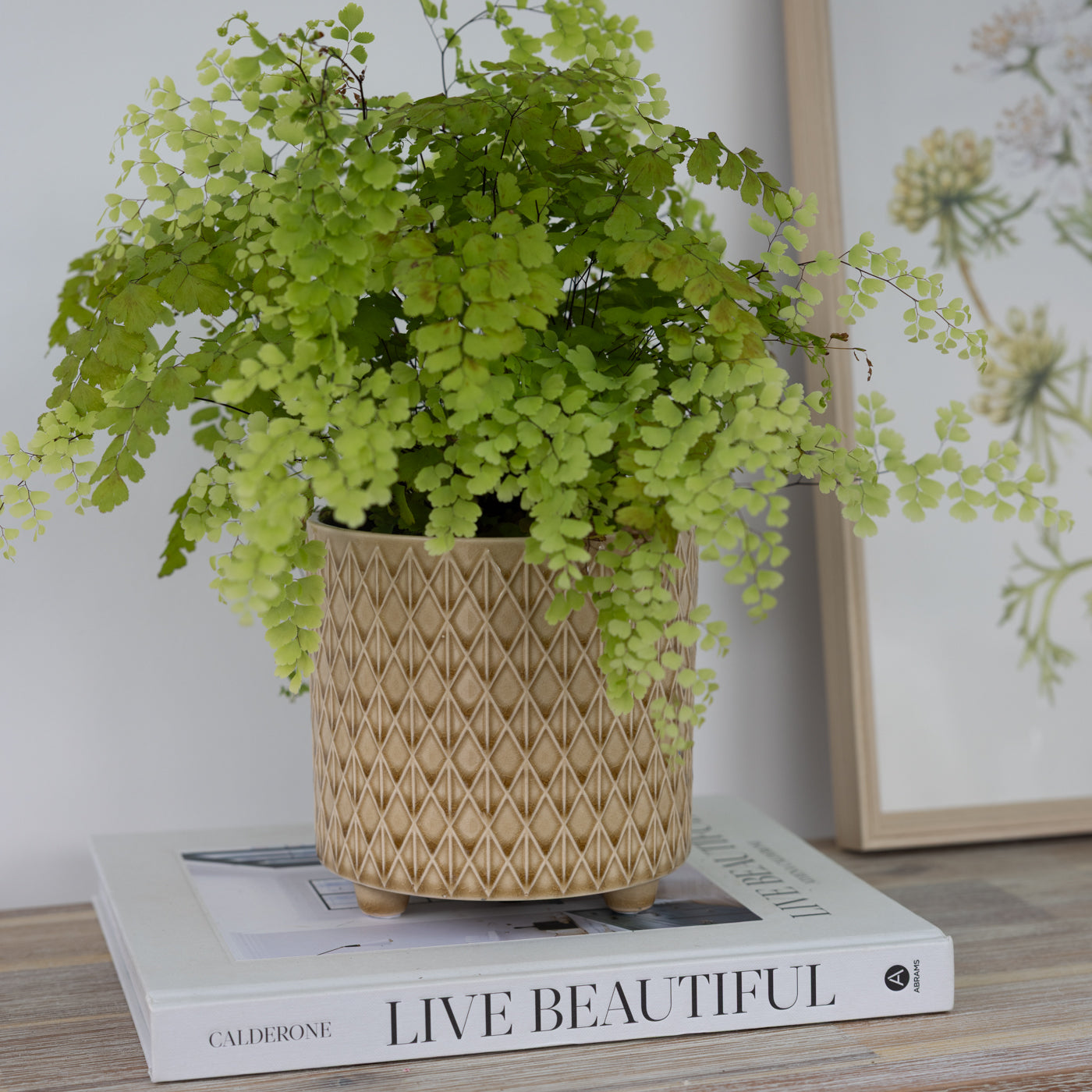 Piper Ochre Textured Footed Planters