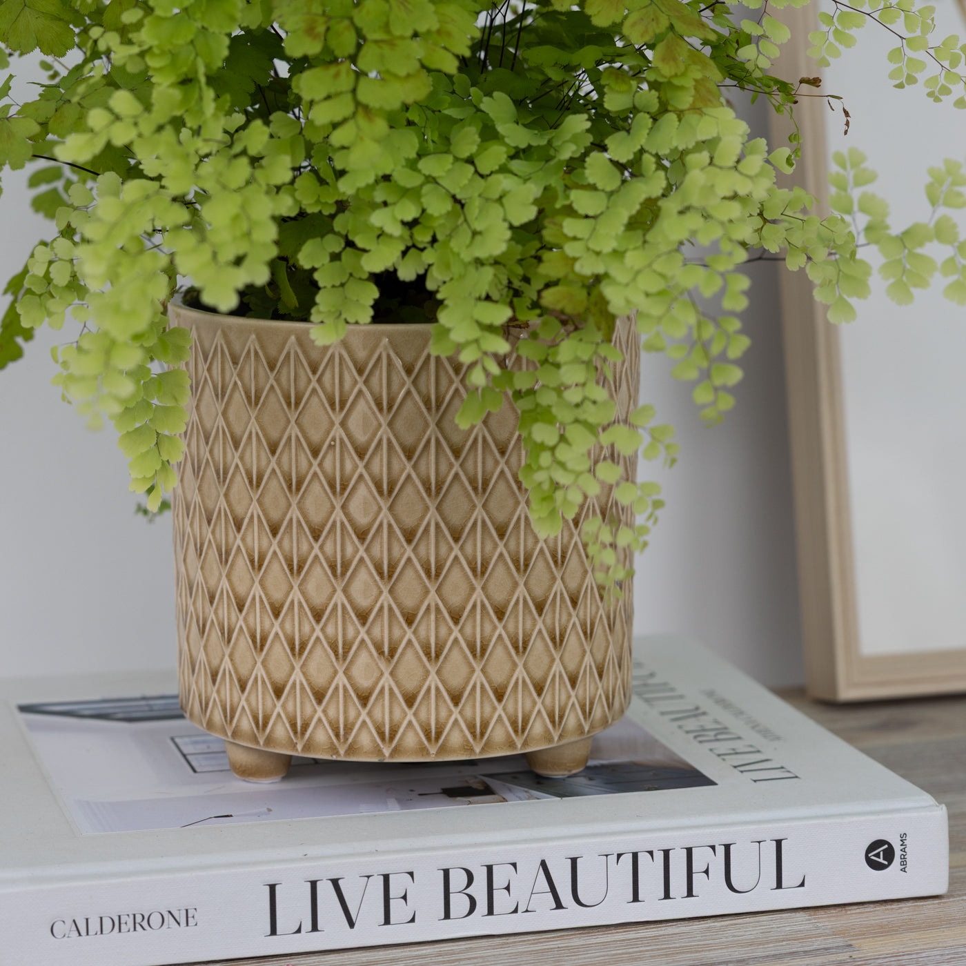 Piper Ochre Textured Footed Planters