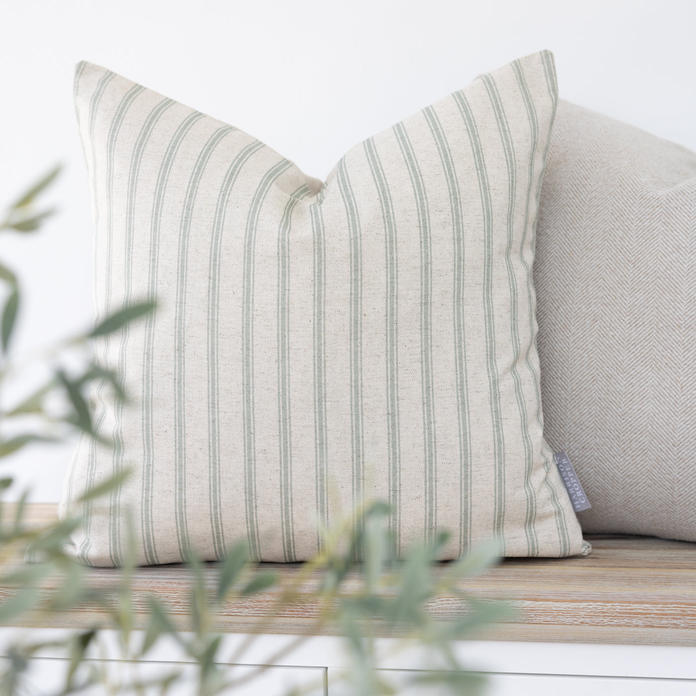 Kashmira Duck Egg Stripe Square Cushion