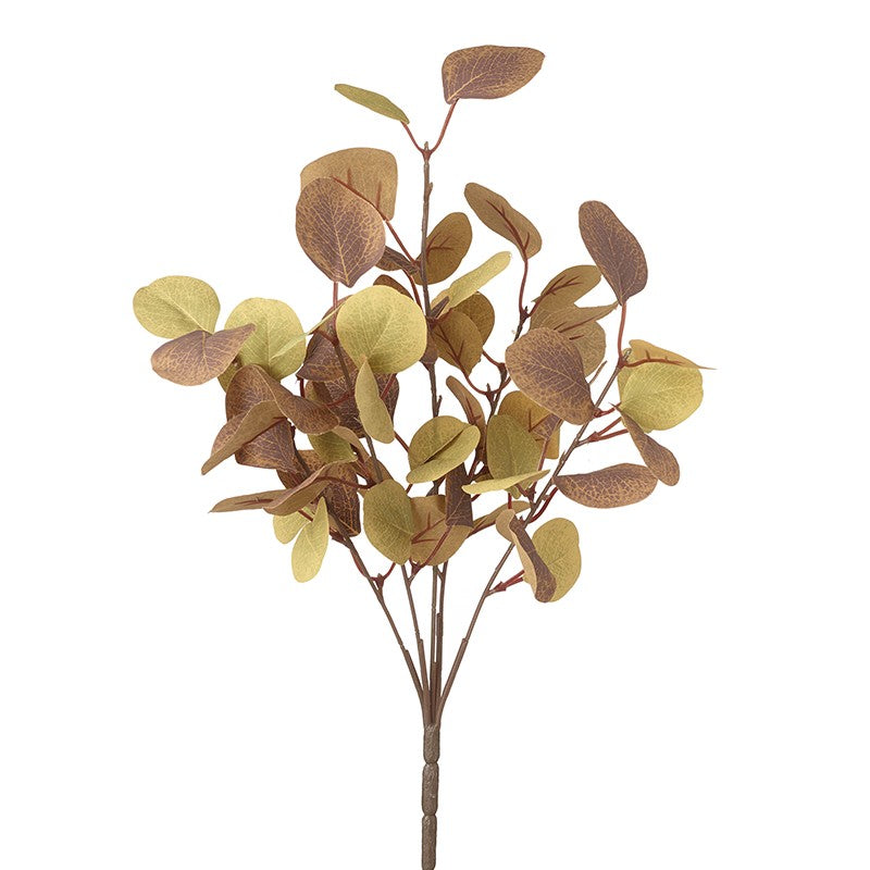 Eucalyptus Leaf Sprig