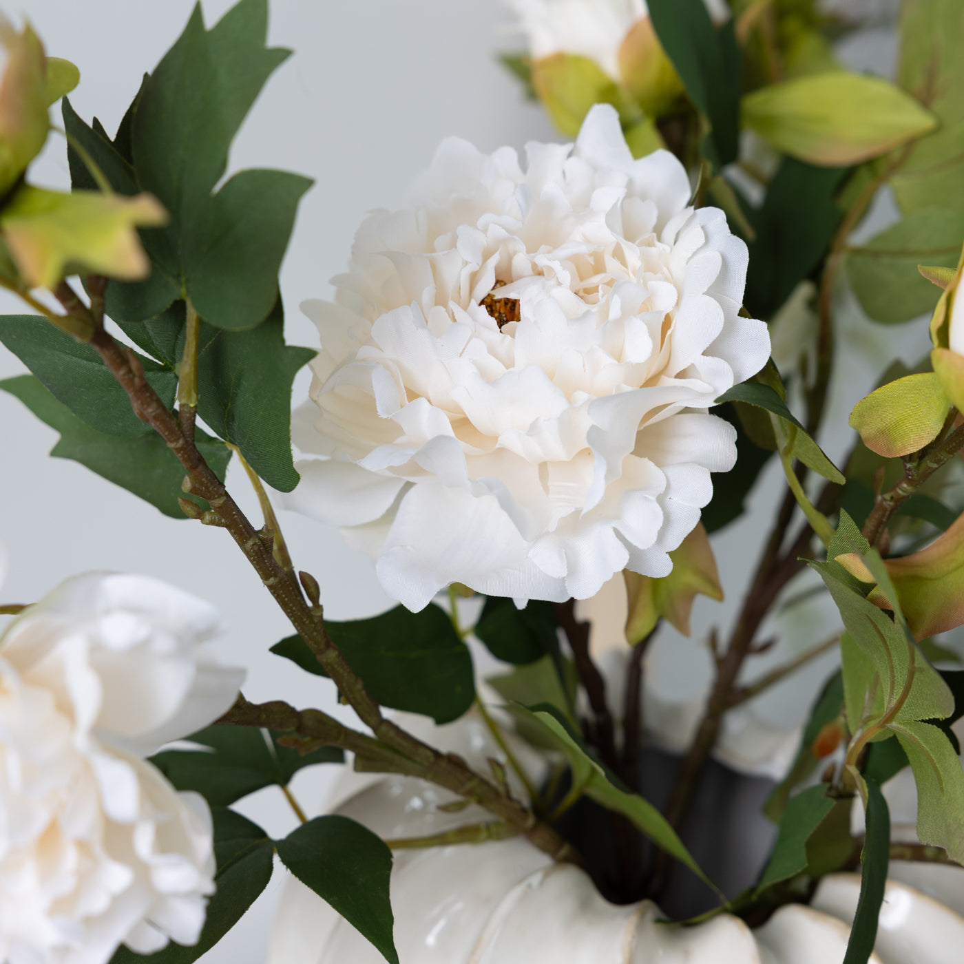 White Fashion Peony Stem