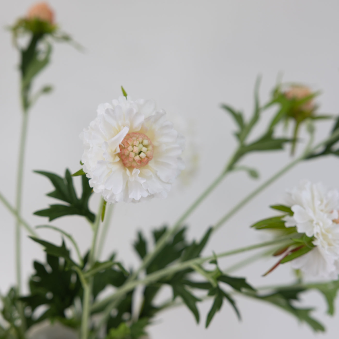 Faux White Scabiosa Spray with Leaves
