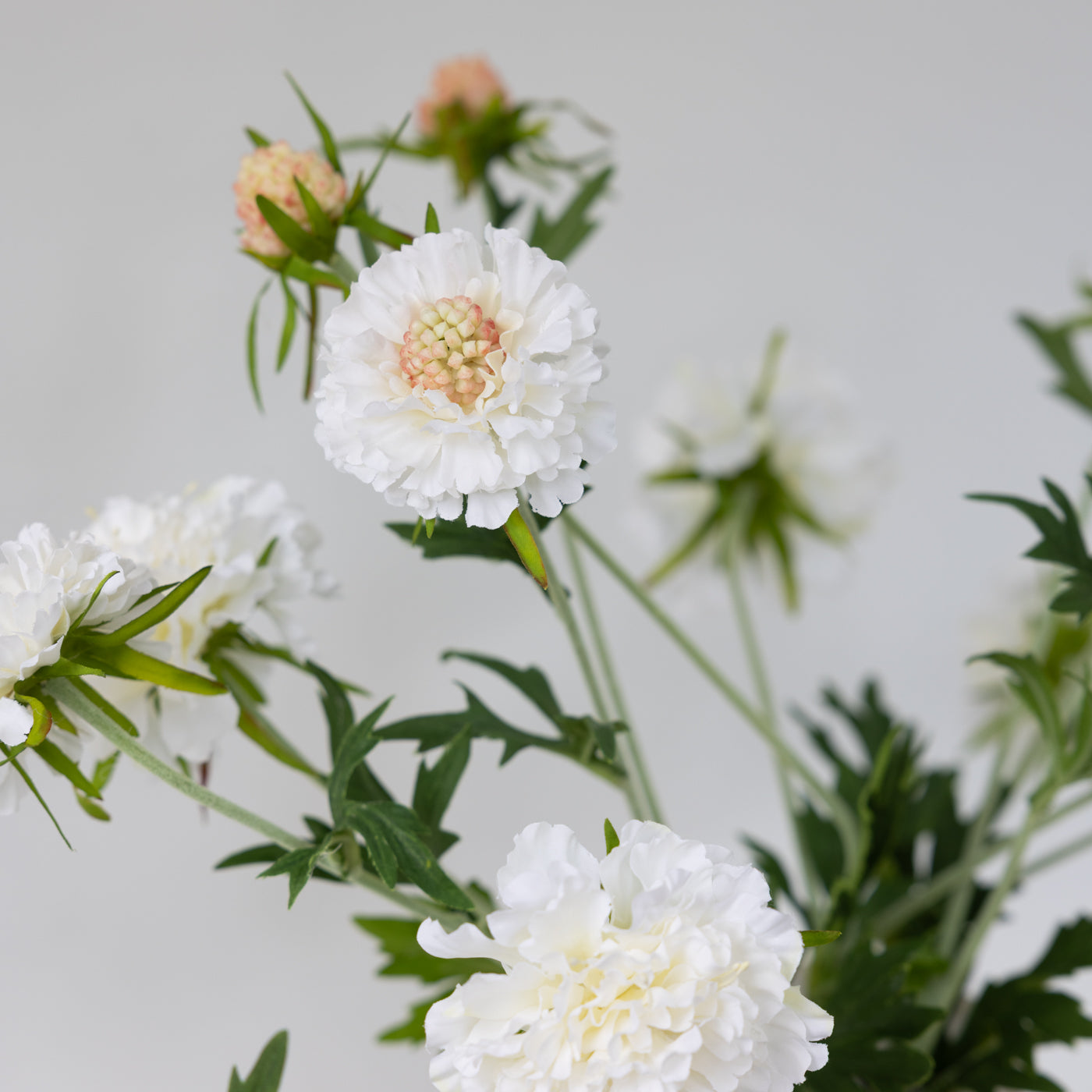 Faux White Scabiosa Spray with Leaves