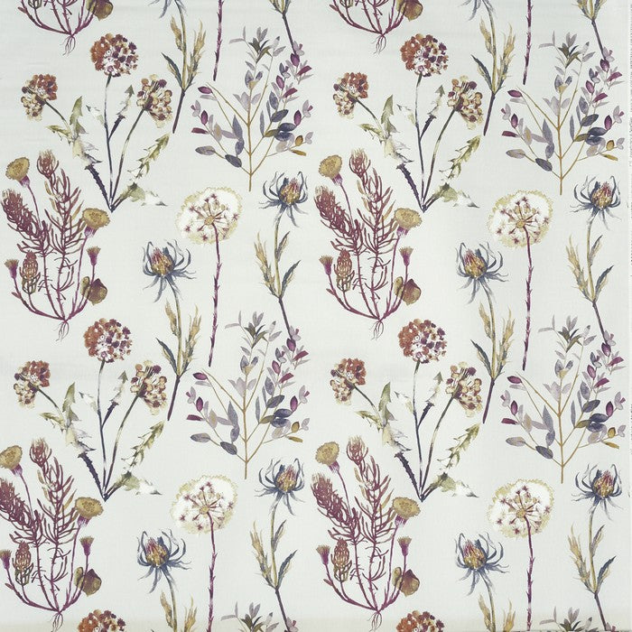 Allium Blossom Curtains