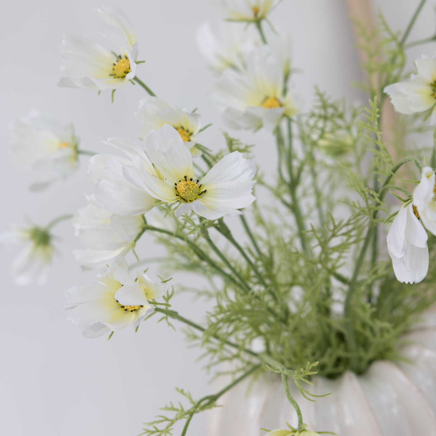 White Cosmos Spray