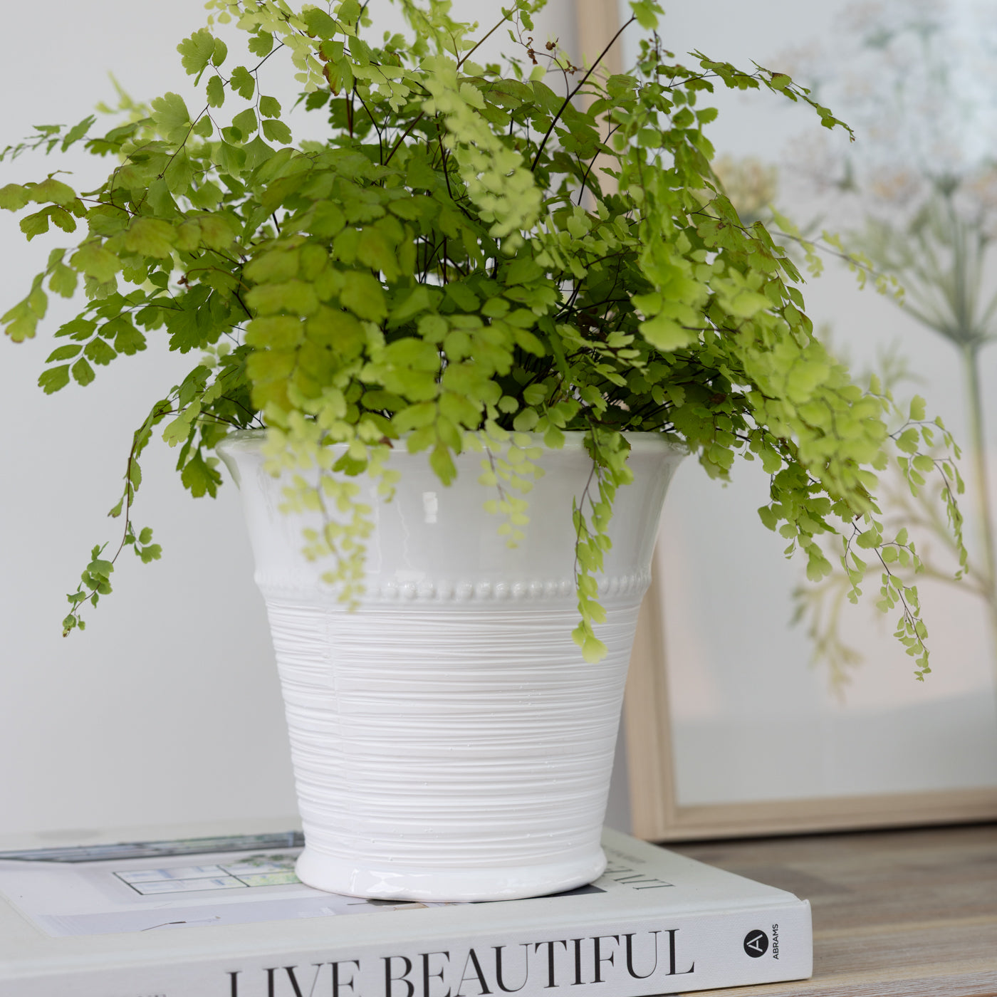 Livia White Textured Planter