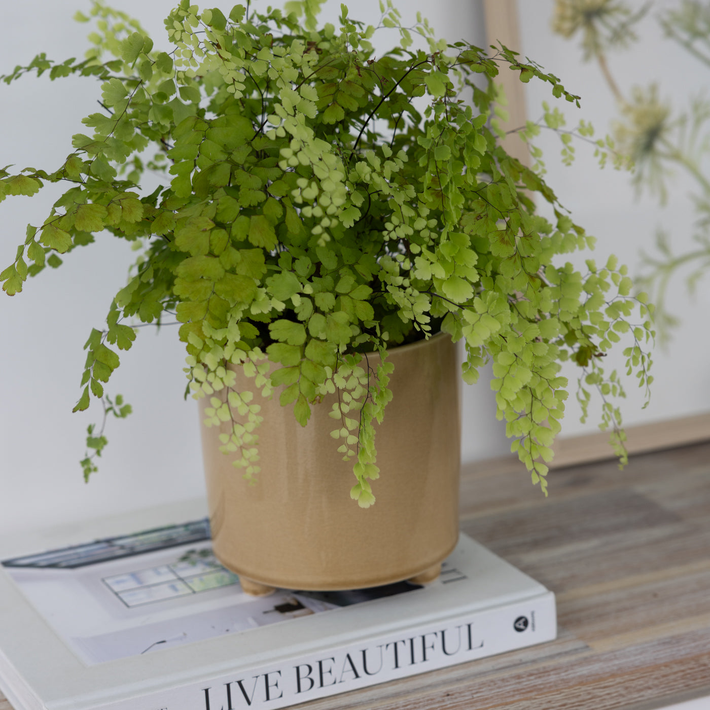 Piper Ochre Footed Planters
