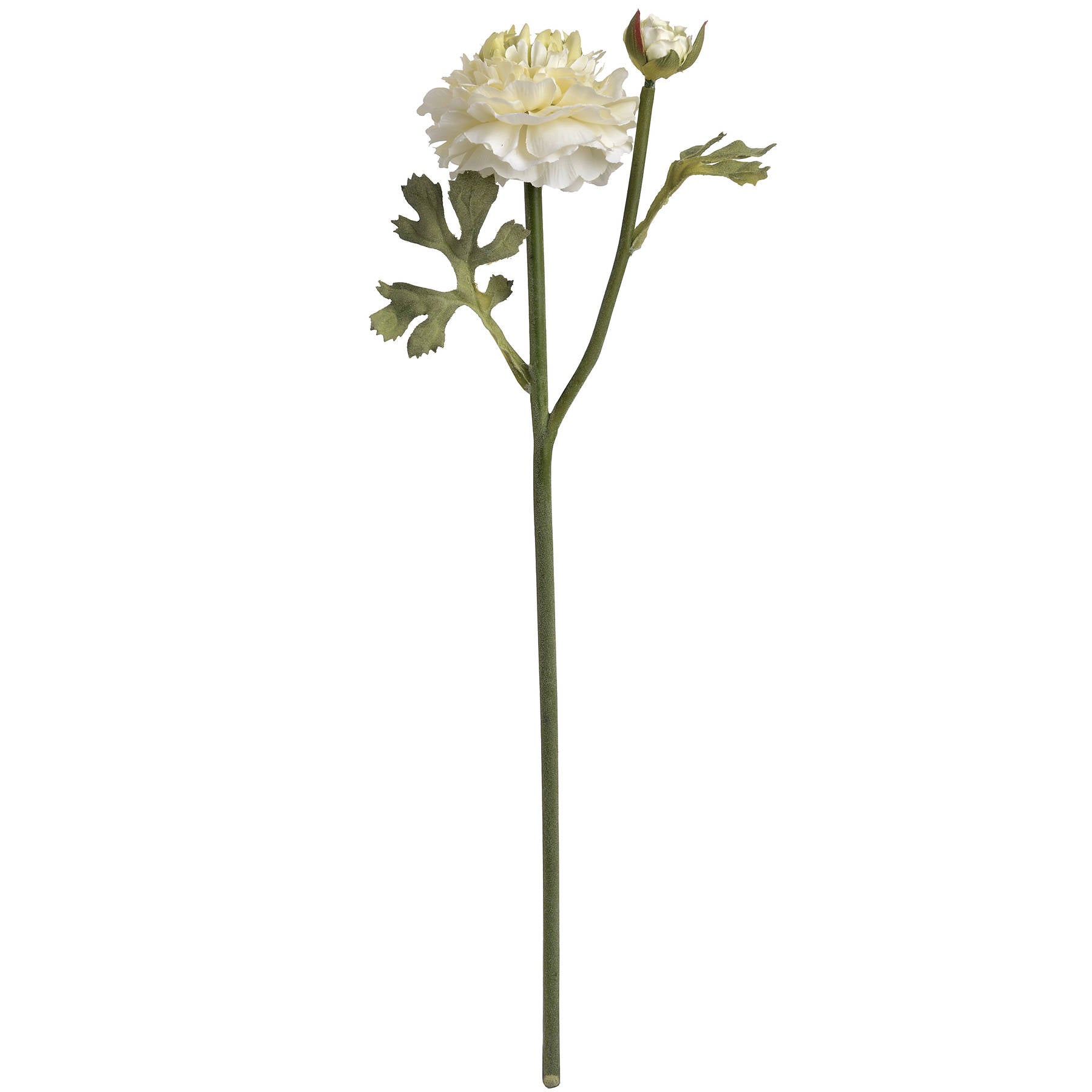 Faux Green Ranunculus Stem