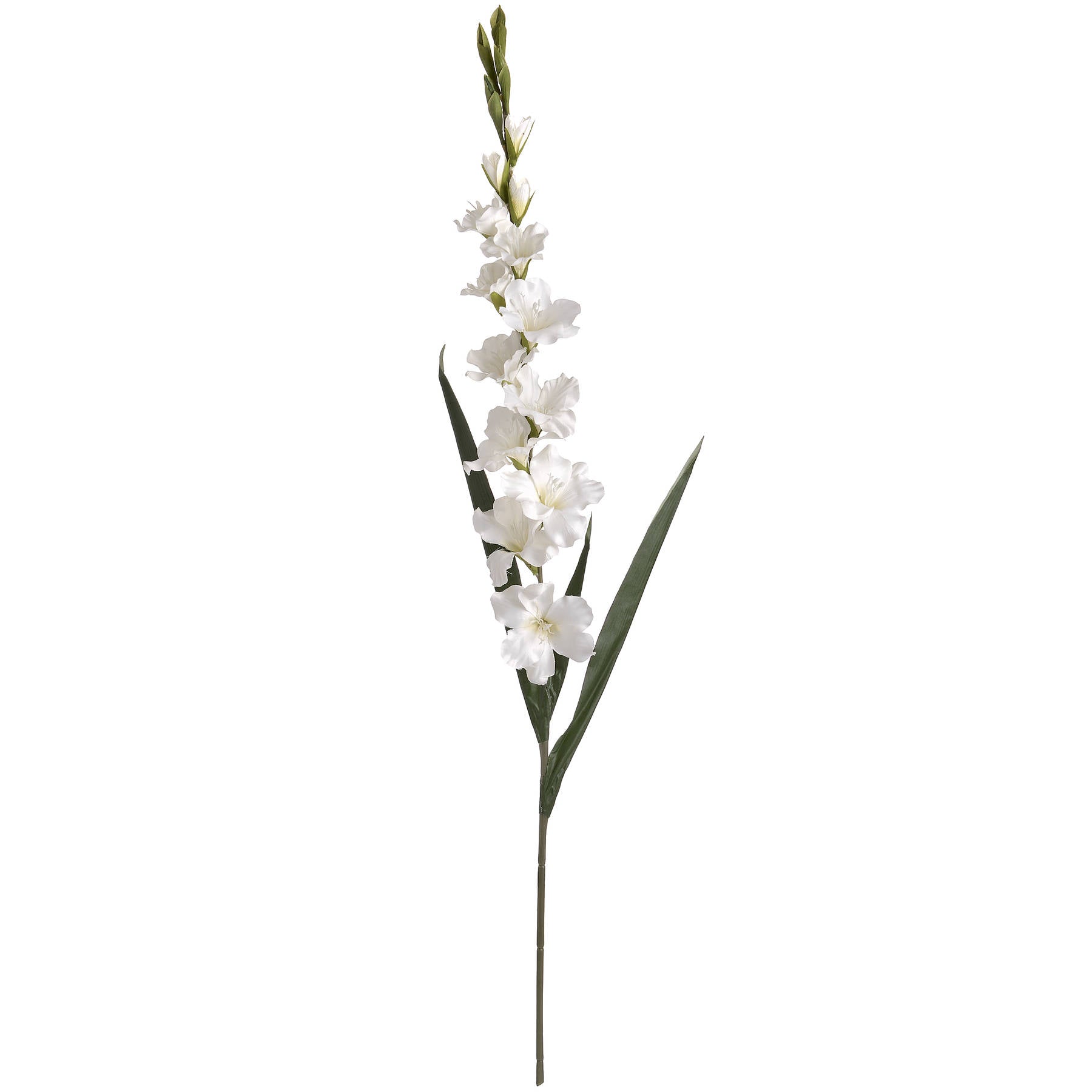 White Gladioli Spray