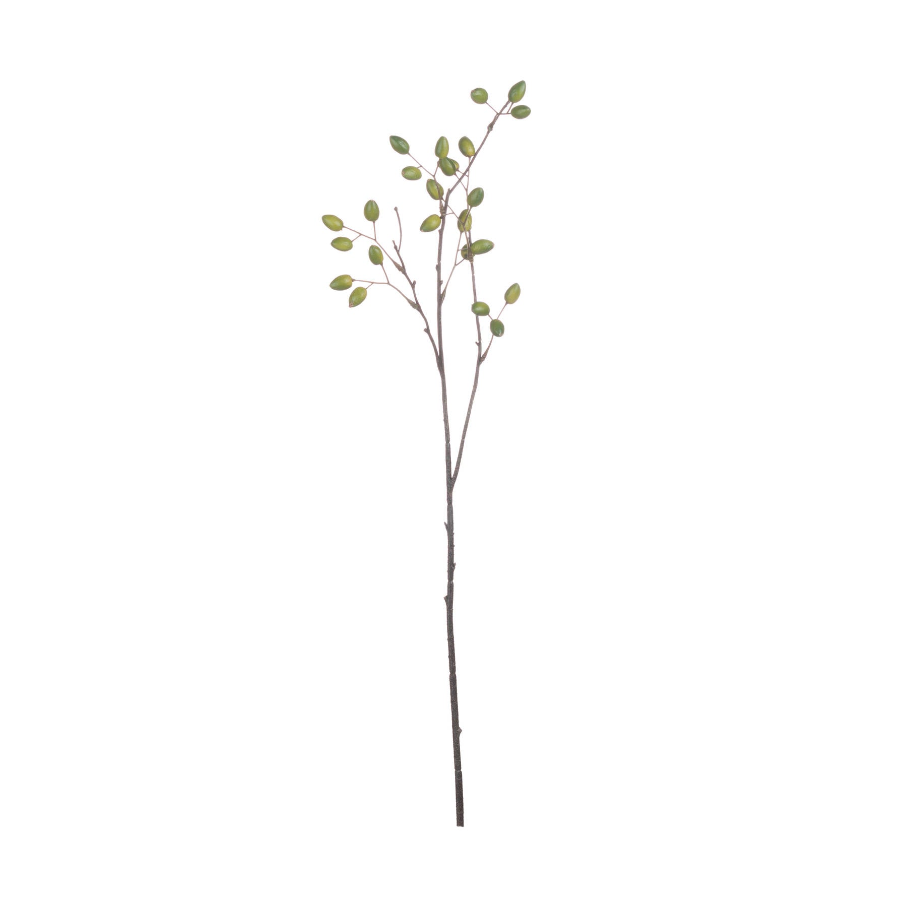 Faux Olive Spray
