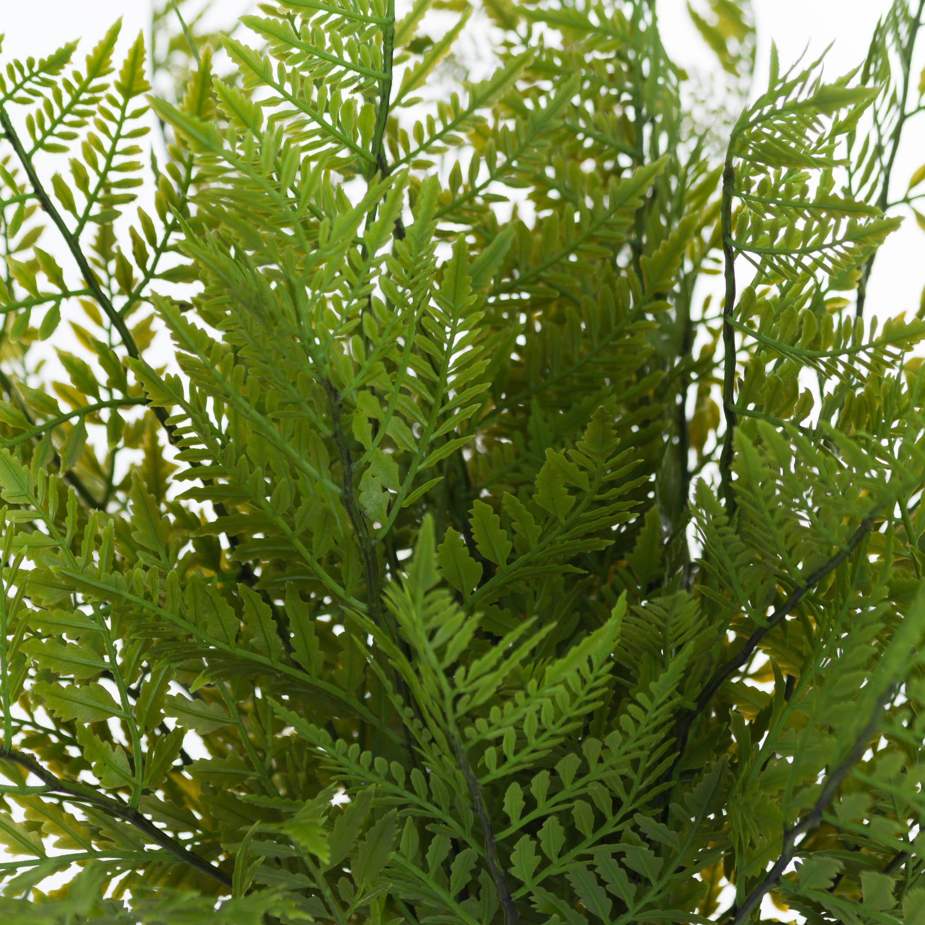 Faux Green Fern Bunch