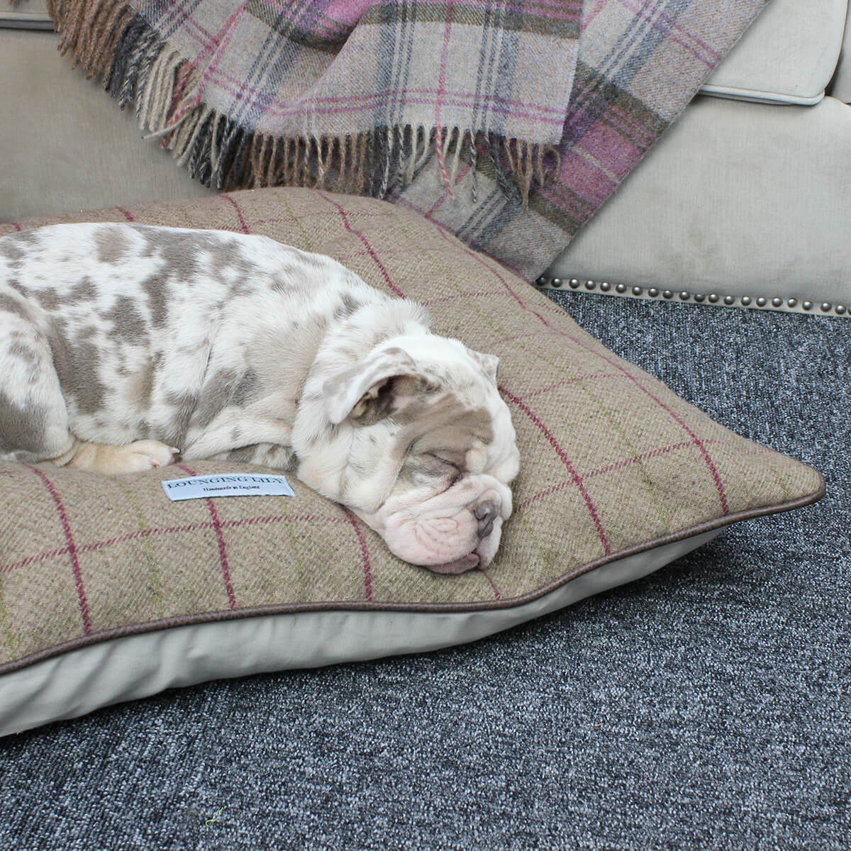 Heather Checked Pillow Dog Bed