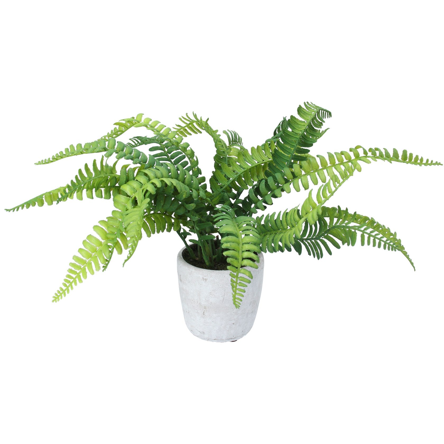 Faux Boston Fern Potted Plant