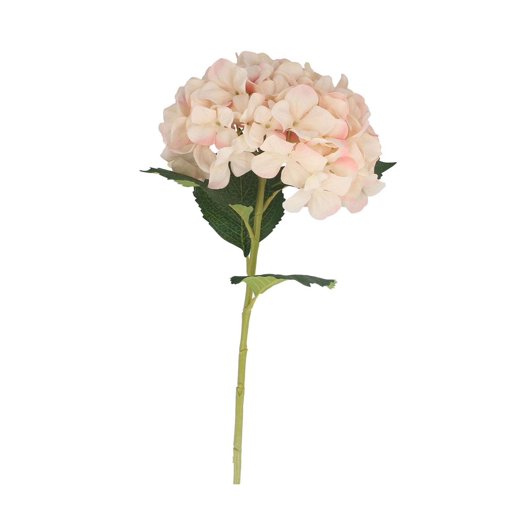 Blush Pink Hydrangea Stem