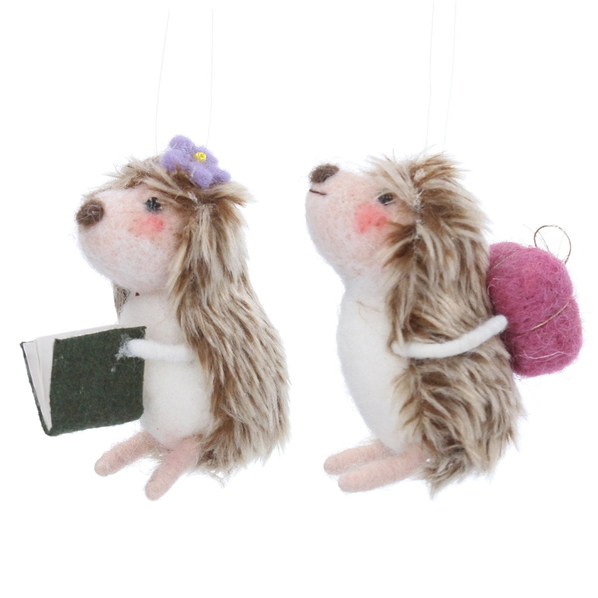 Back To School Hedgehog Decoration