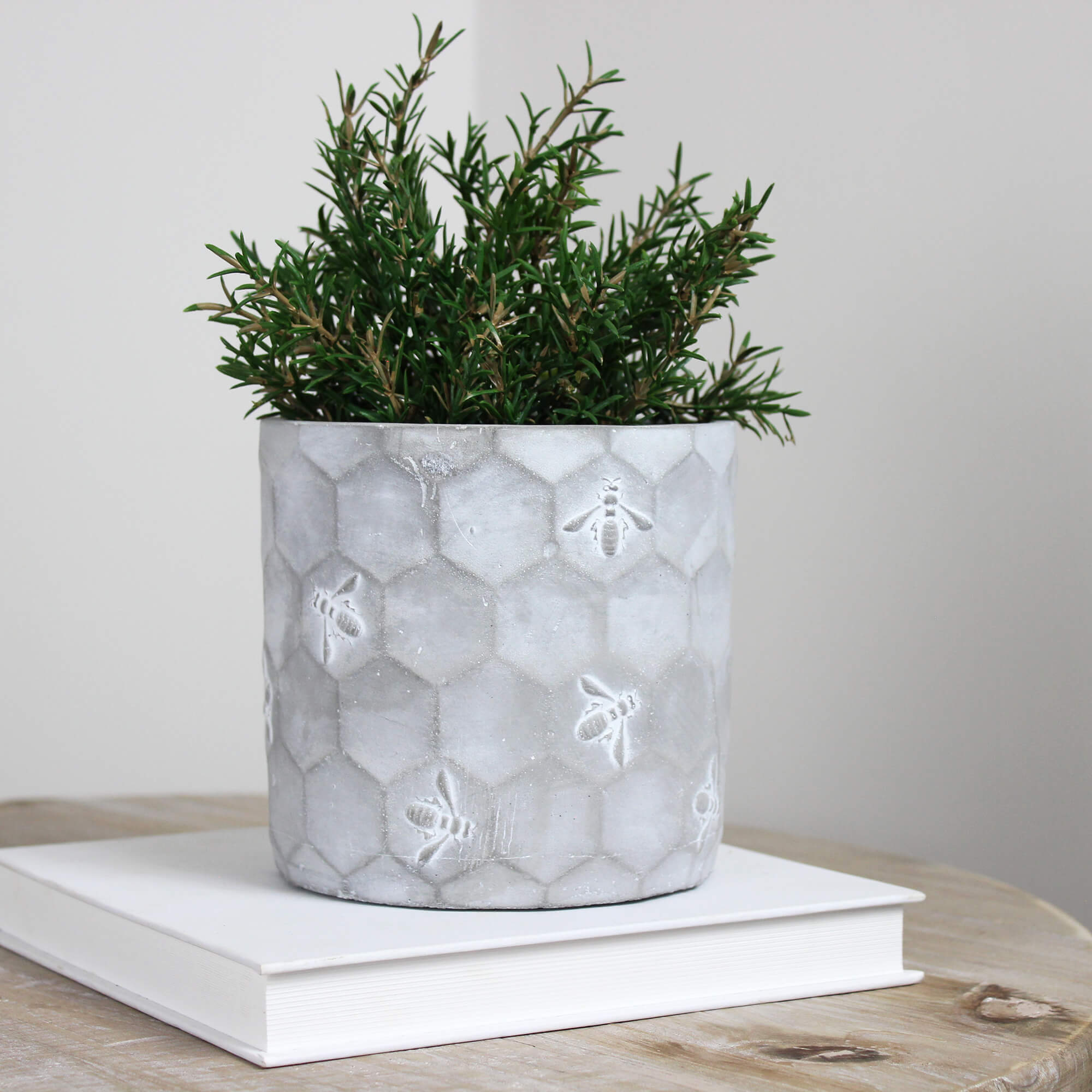 Bee Grey Concrete Planter