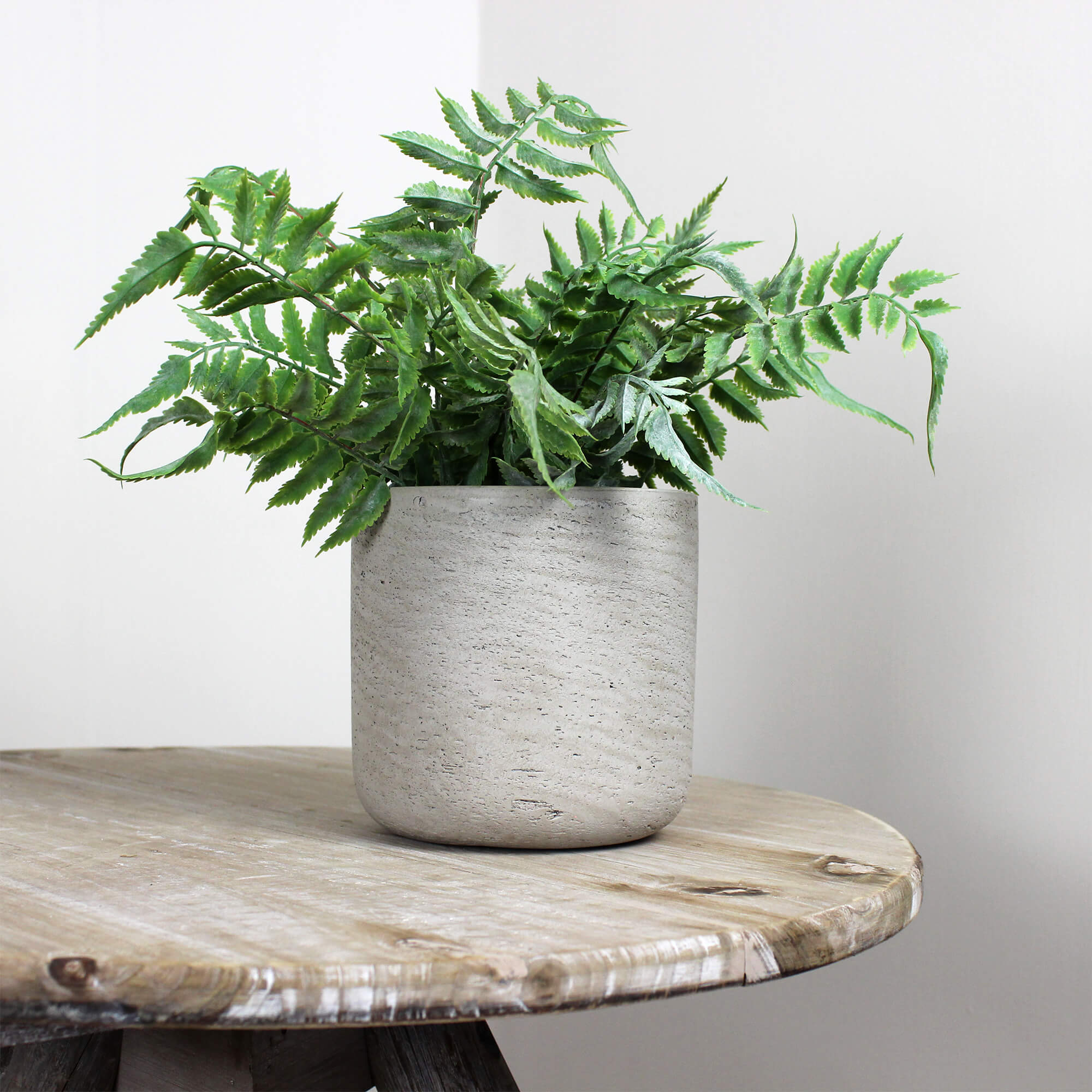 Large Concrete Plant Pot