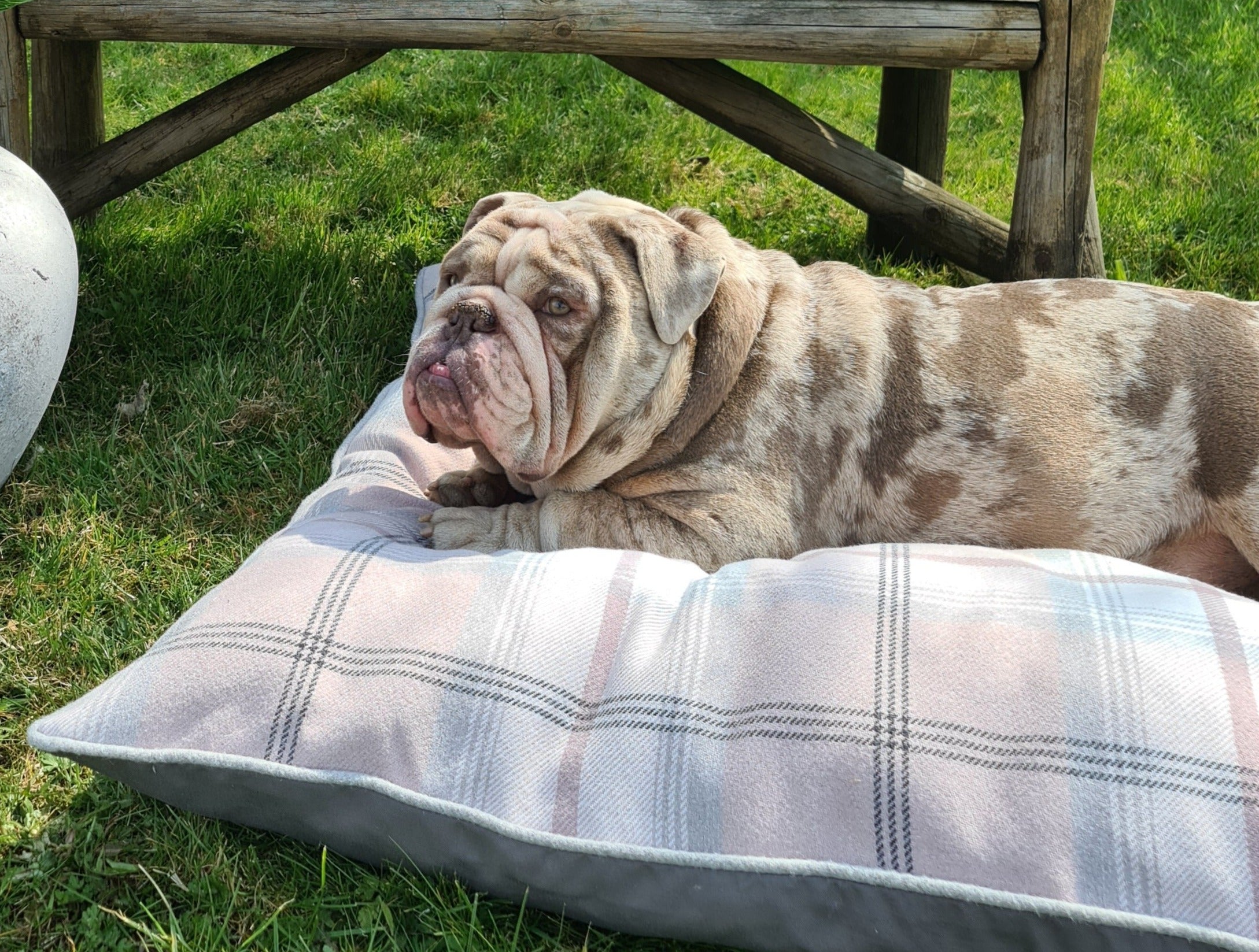 Blush Balmoral Check Pillow Dog Bed