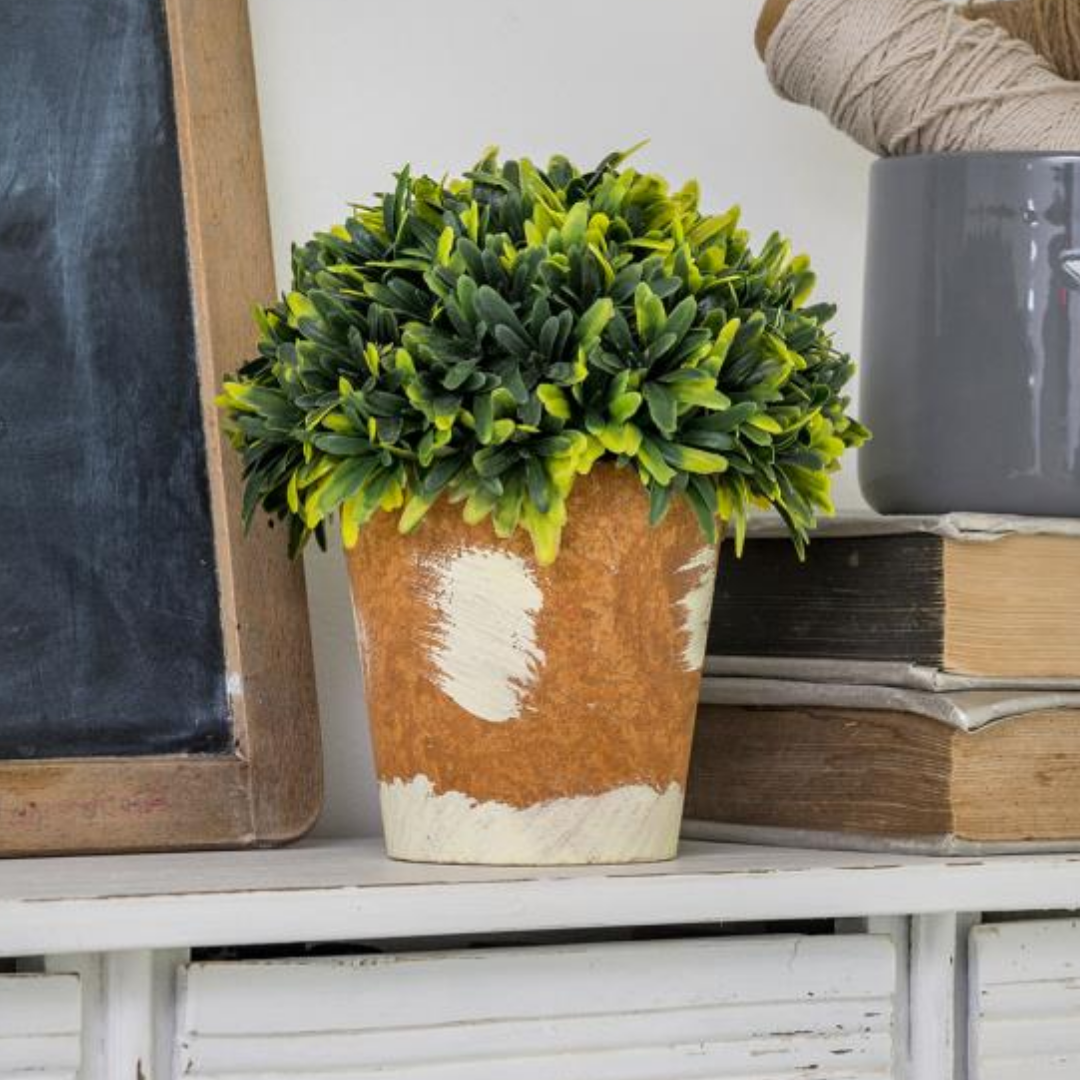 Medium Faux Boxwood with Terracotta Style Pot