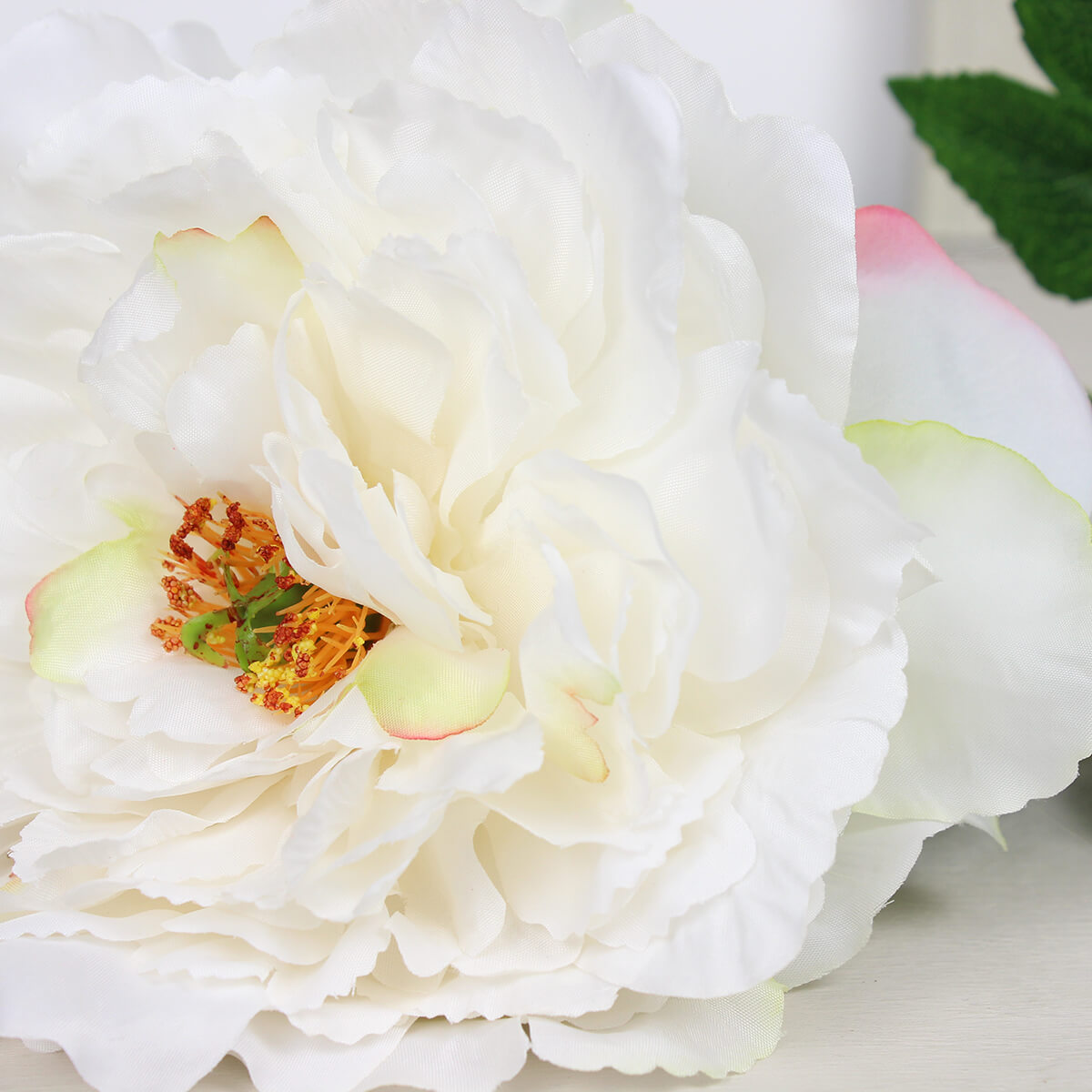 White Frilly Peony Stem