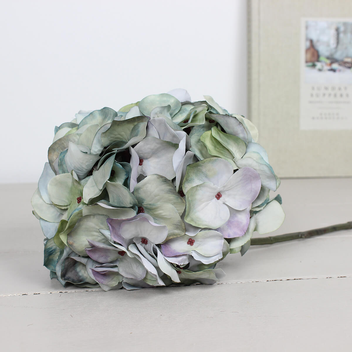 Pale Lavender Hydrangea Stem